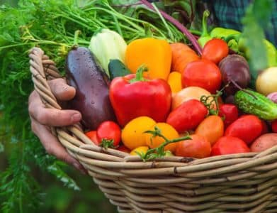 שנה את התזונה שלך עם ארוחה אורגנית 1 asd