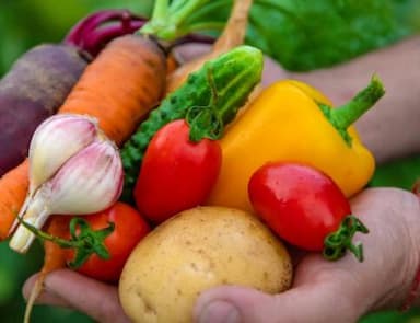 שנה את התזונה שלך עם ארוחה אורגנית 2 asd